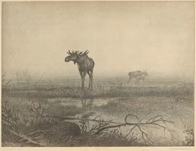 Urtid by Louis Moe — digital art print download