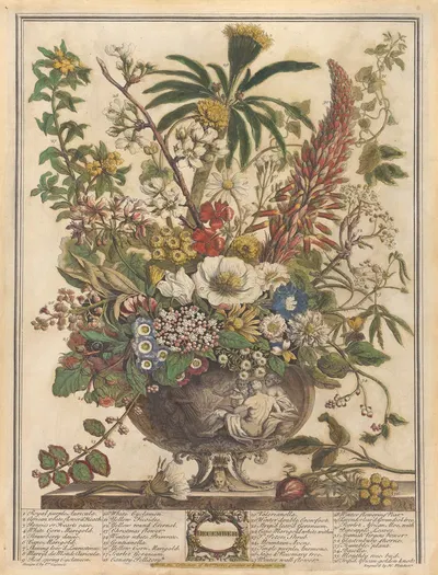December by Pieter Casteels III, 1730 — digital art print download