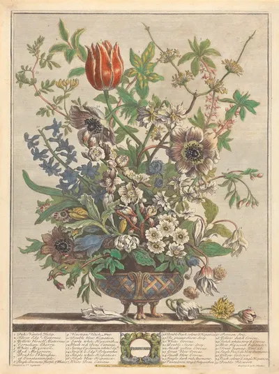 February by Pieter Casteels III, 1730 — digital art print download