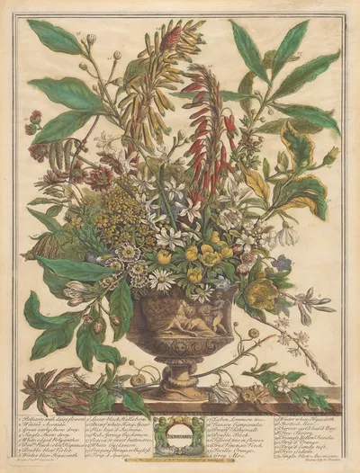 January by Pieter Casteels III, 1730 — digital art print download