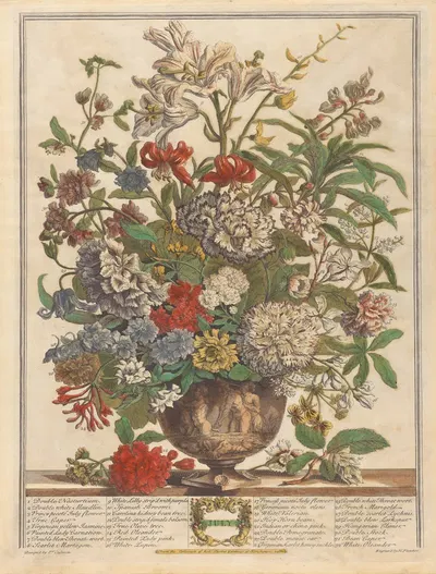 July by Pieter Casteels III, 1730 — digital art print download