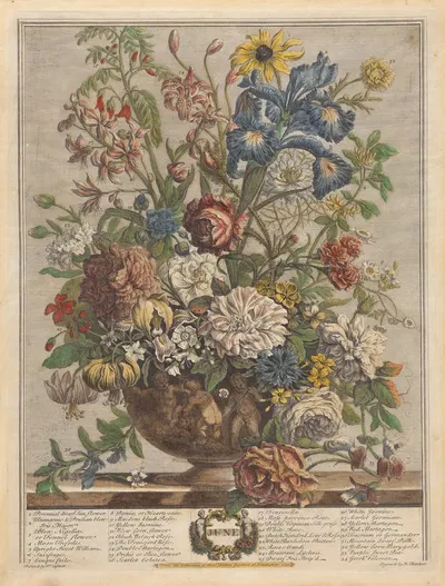 June by Pieter Casteels III, 1730 — digital art print download