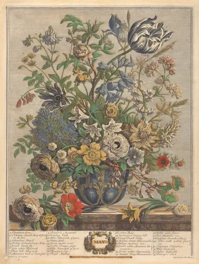 May by Pieter Casteels III, 1730 — digital art print download