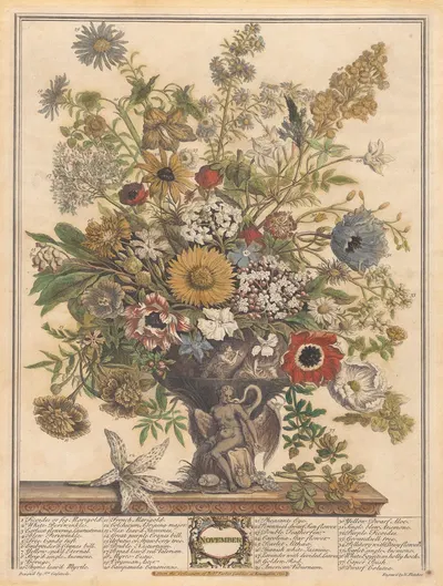 November by Pieter Casteels III, 1730 — digital art print download