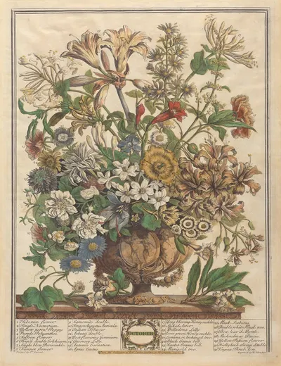 October by Pieter Casteels III, 1730 — digital art print download