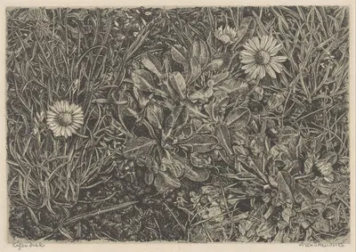 Маделивены в траве by Аренд Хендрикс, 1911 - 1943 — digital art print download