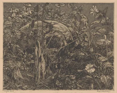 Череп между цветами на поле by Аренд Хендрикс, 1911 - 1942 — digital art print download