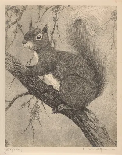 Eekhoorn by Henri Verstijnen, 1921 — digital art print download