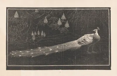 Pauw by Анри Верстайнен, 1892-1940 — digital art print download