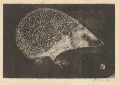 Ёж by Ян Манкес, 1916 — digital art print download