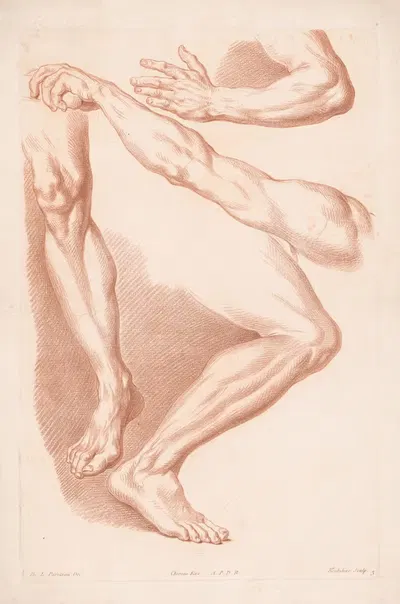 Different views of two legs and two arms by Louis-François Roubiliac, 1749-1849 — digital art print download