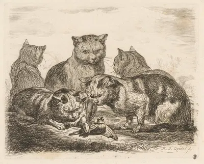Five cats and a bird by Martin Ferdinand Quadal, 1793 — digital art print download