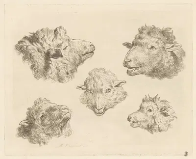 Five sheep heads by Мартин Фердинанд Куадал, 1793 — digital art print download