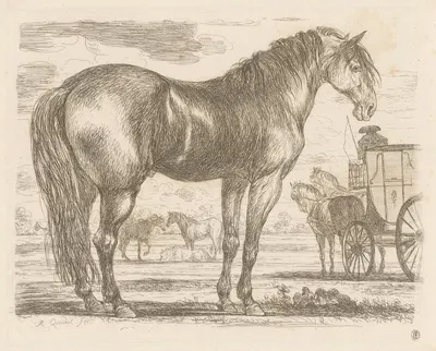 Horse, standing to the right by Мартин Фердинанд Куадал, 1793 — digital art print download