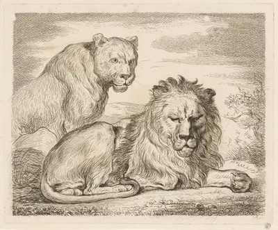 Lion and lioness by Мартин Фердинанд Куадал, 1793 — digital art print download