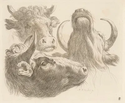 Three cow heads by Мартин Фердинанд Куадал, 1793 — digital art print download