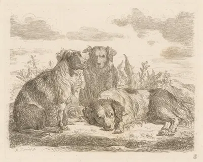 Three dogs by Мартин Фердинанд Куадал, 1793 — digital art print download