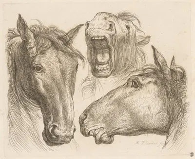 Three horse heads by Мартин Фердинанд Куадал, 1793 — digital art print download