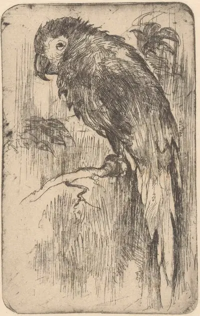 Попугай на ветке by Виллем Адрианус Грондхаут, 1888-1934 — digital art print download