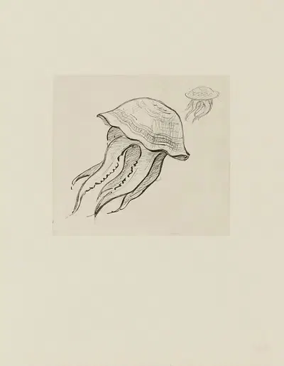 Две медузы – неиспользованный рисунок by Ахилле Гранчи-Тейлор, 1920-1921 — digital art print download