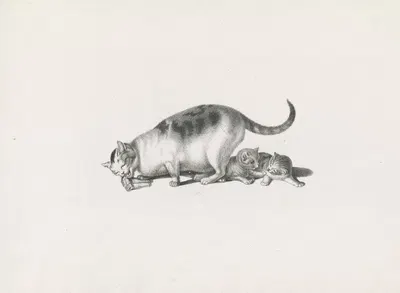 Domestic cat eating while two kittens play by Готфрид Минд, 1820-1860 — digital art print download