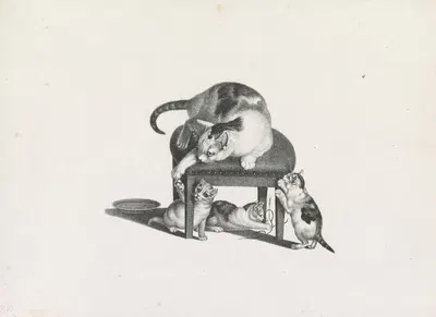 Domestic cat on a stool playing with three kittens by Готфрид Минд, 1820-1860 — digital art print download