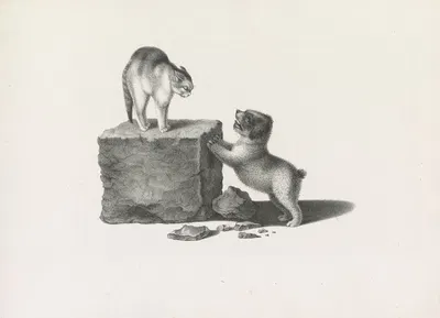 Domestic cat standing on a block and a puppy with its front paws on the block by Готфрид Минд, 1820-1860 — digital art…