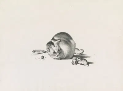 Domestic cat with three newborn kittens and a saucer of food on the left by Готфрид Минд, 1820-1860 — digital art print…