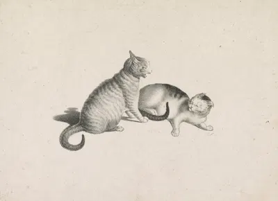 Two domestic cats fighting by Готфрид Минд, 1820-1860 — digital art print download