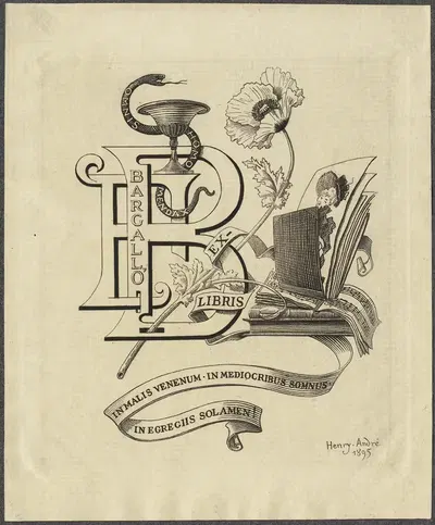 Ф. Баргальо by Генри Андре, 1895 — digital art print download