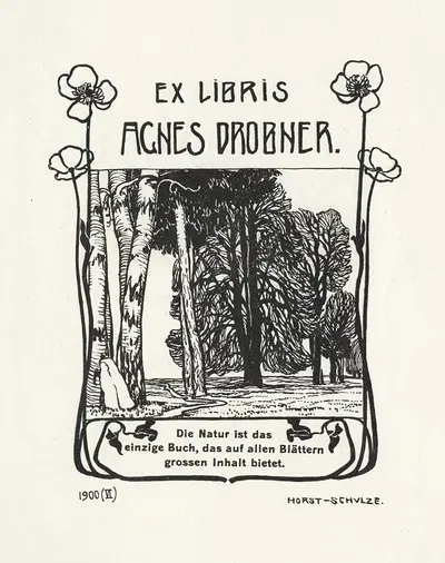 Агнес Дробнер by Пауль Хорст-Шульце, 1900 — digital art print download