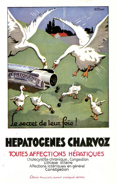 Hépatogènes Charvoz by A. Bazin, 1910-1950 — digital art print download