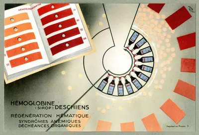 Hémoglobine Deschiens by Henri Neveu, 1910-1950 — digital art print download