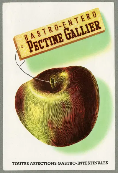 Pectine Gallier by Laboratoire R. Gallier, 1910-1950 — digital art print download