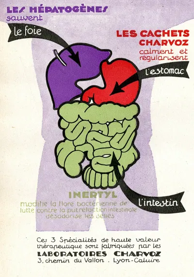 Les hépatogènes by Laboratoires Charvoz, 1910-1950 — digital art print download