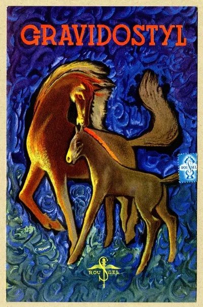 Gravidostyl by Laboratoires du docteur Roussel, 1910-1950 — digital art print download