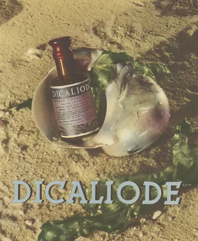 Dicaliode by Laboratoires Mayoly-Spindler, 1948 — digital art print download