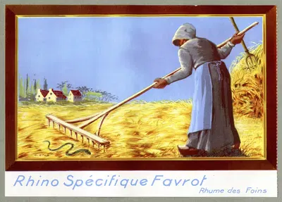 Специфический носорог Фавро by Лаборатории доктора Э. Ферре, 1910-1950 — digital art print download