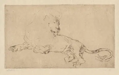 Löwenstudie by Albert Welti, 1910 — digital art print download