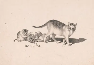 Cat and three kittens playing with string and paper by Шарль Фендерих — digital art print download