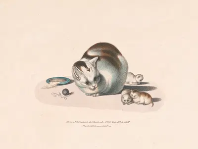 Cat and three kittens by Charles Fenderich, 1832 — digital art print download