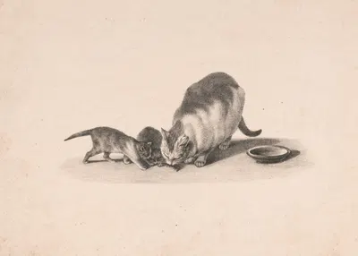 Cat and two kittens, with a mouse by Шарль Фендерих, 1832 — digital art print download