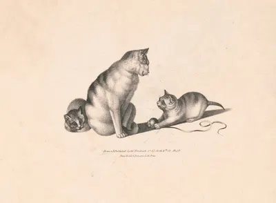 Three cats – mother and kittens by Charles Fenderich, 1832 — digital art print download