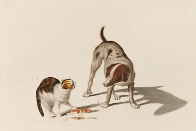 Hund und Katze mit Knochen by Готфрид Минд — digital art print download