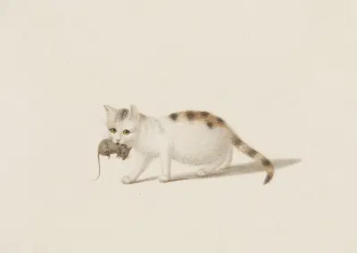 Junge Katze mit Maus by Готфрид Минд — digital art print download