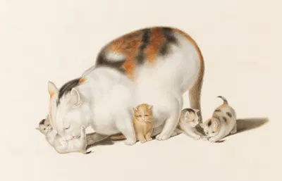 Cat with four kittens by Готфрид Минд — digital art print download