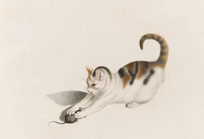 Katze, eine Maus ergreifend by Готфрид Минд — digital art print download