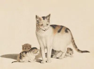 Mutterkatze und drei Junge by Готфрид Минд — digital art print download