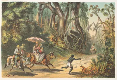 Cercanias de Baracoa by Pierre Toussaint Frédéric Mialhe, 1855 — digital art print download