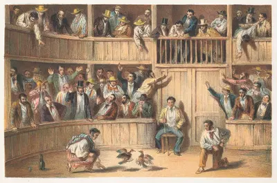 Падение петухов by Пьер Туссен Фредерик Миаль, 1855 — digital art print download